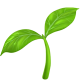 plant-icon